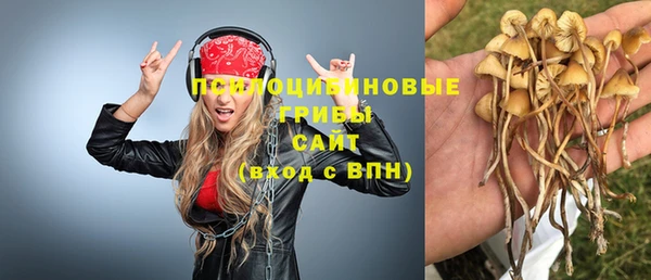сатива Коряжма