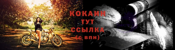 СК Козельск