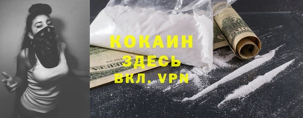 гашик Карпинск