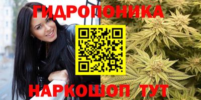 индика Бийск