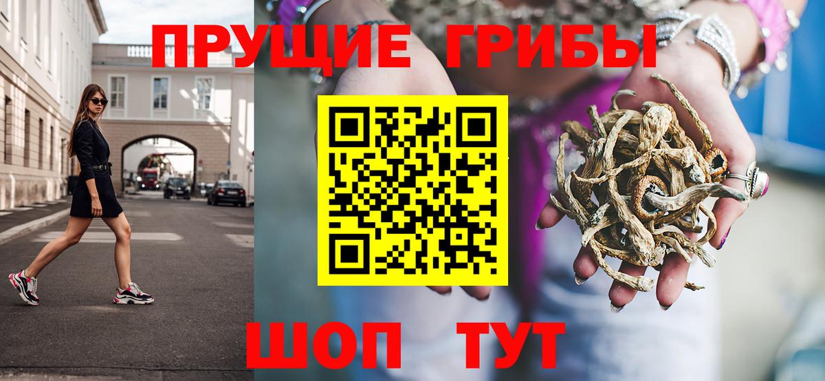 как найти   Псилоцибиновые грибы MAGIC MUSHROOMS  Вход с VPN  Выборг  Галлюциногенные грибы мицелий 
